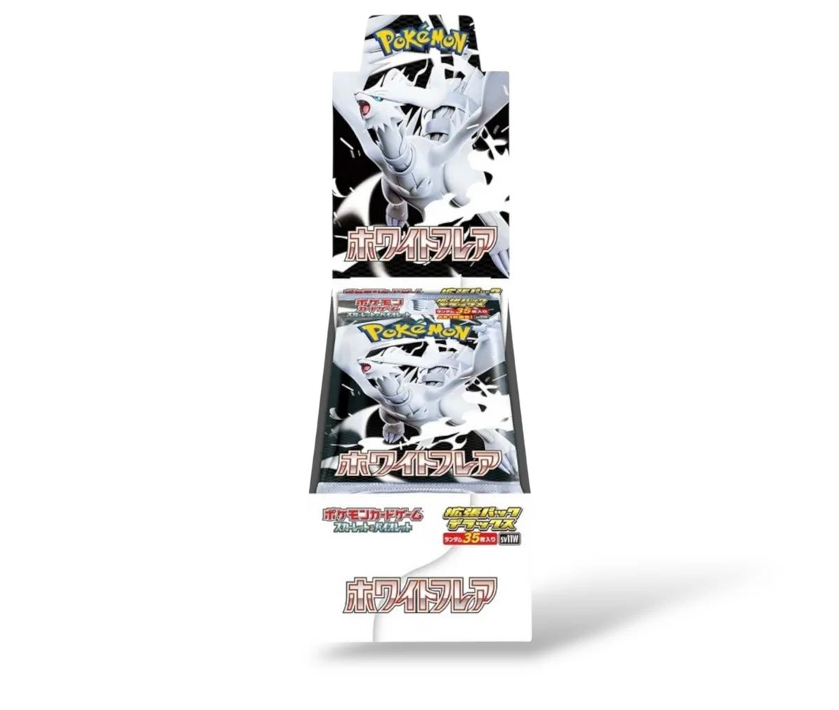 Display Jumbo SV11 White Flare